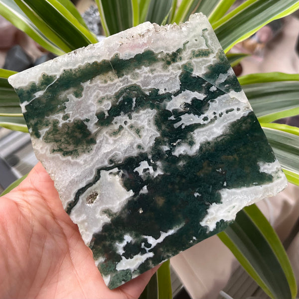 Moss Agate Slice - Optimism & Courage