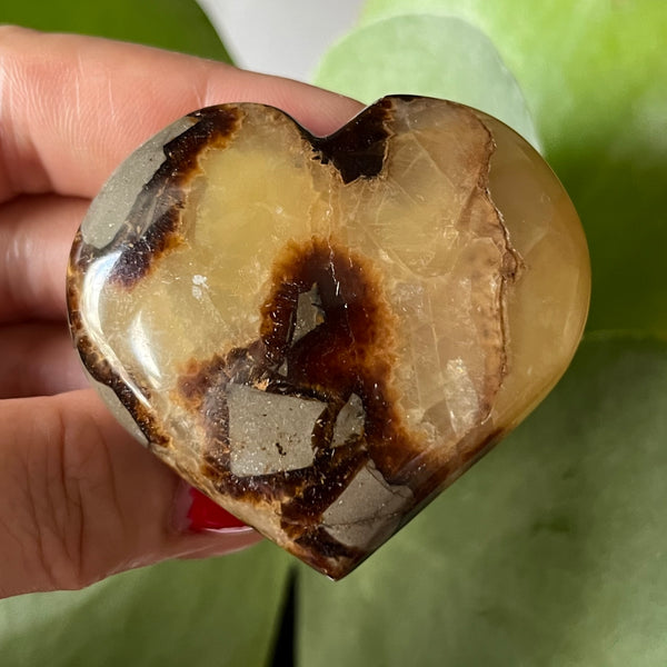 Septarian Heart - Grounding & Stability