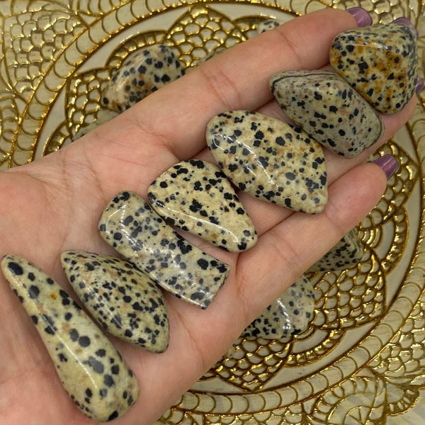 Dalmatian Jasper Tumblestones - Joy & Lightness BD Crystals