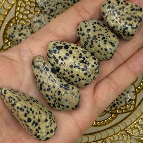 Dalmatian Jasper Tumblestones - Joy & Lightness BD Crystals