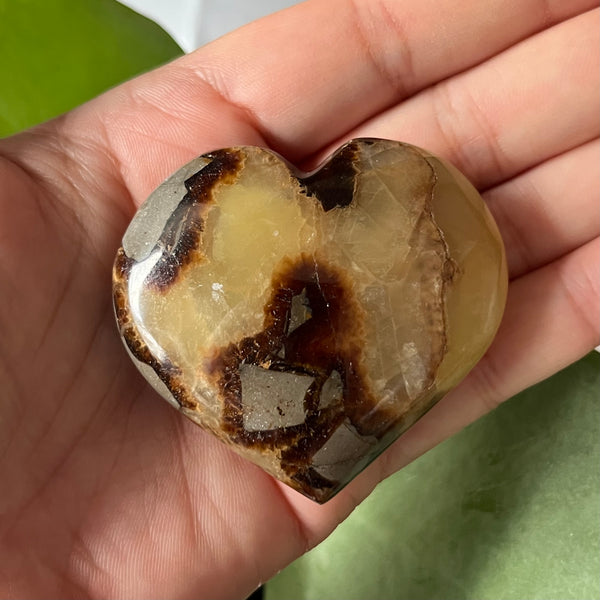 Septarian Heart - Grounding & Stability