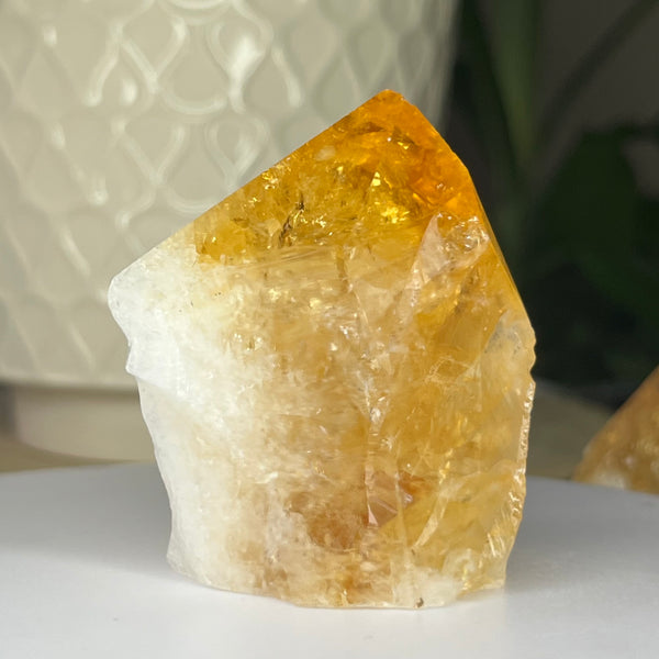 Citrine Cut Base Point (Heat Treated) - Abundance & Success