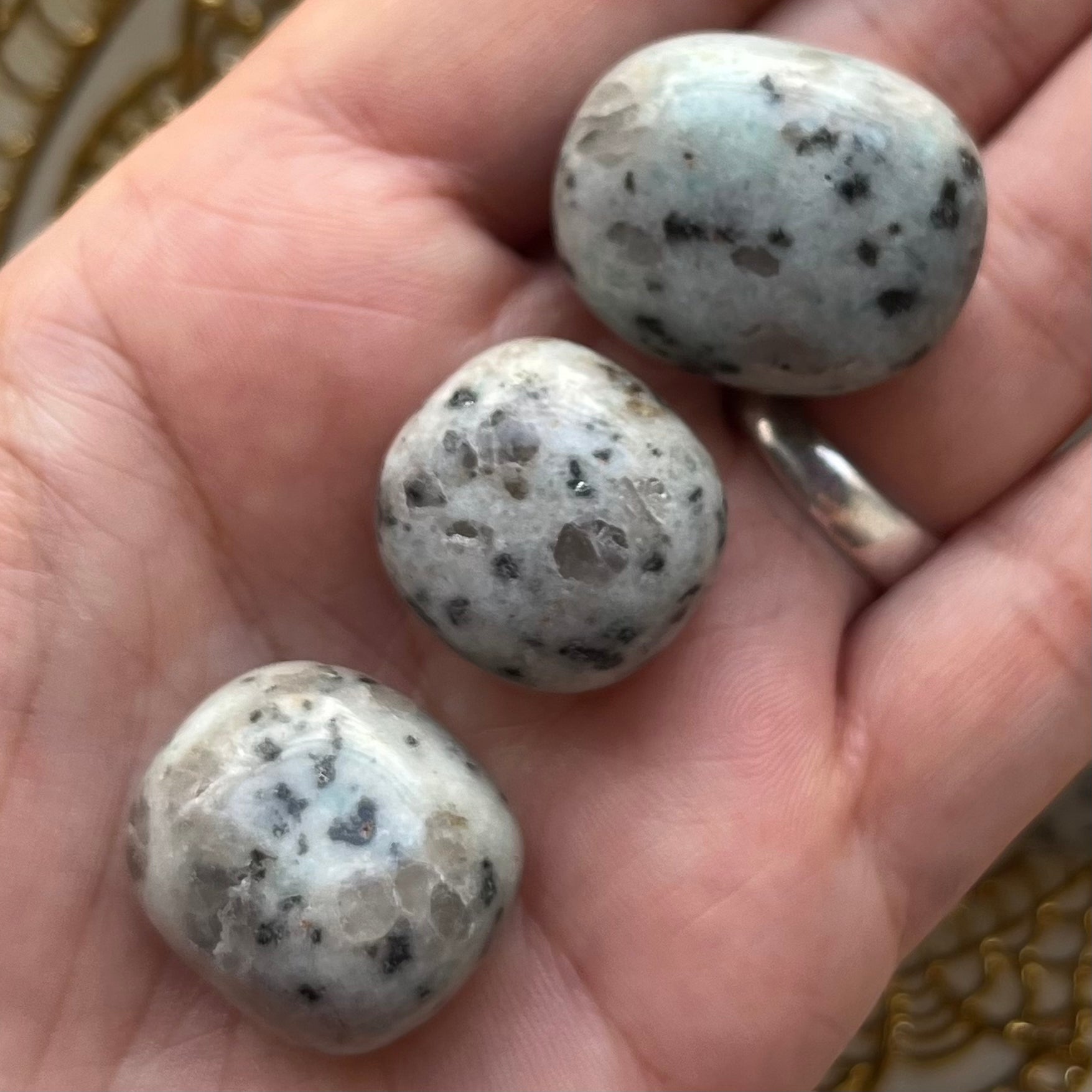 Kiwi Jasper Tumblestones