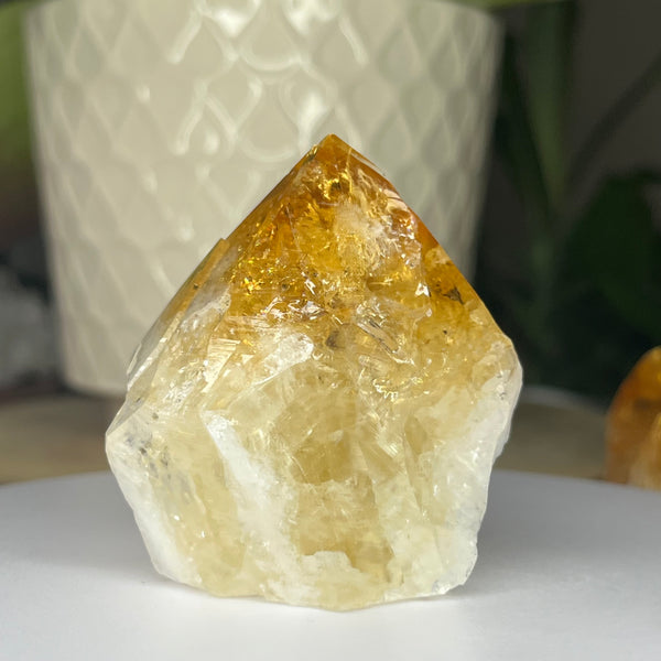 Citrine Cut Base Point (Heat Treated) - Abundance & Success