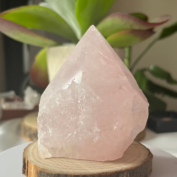 Rose Quartz Cut Base Point - Unconditional Love