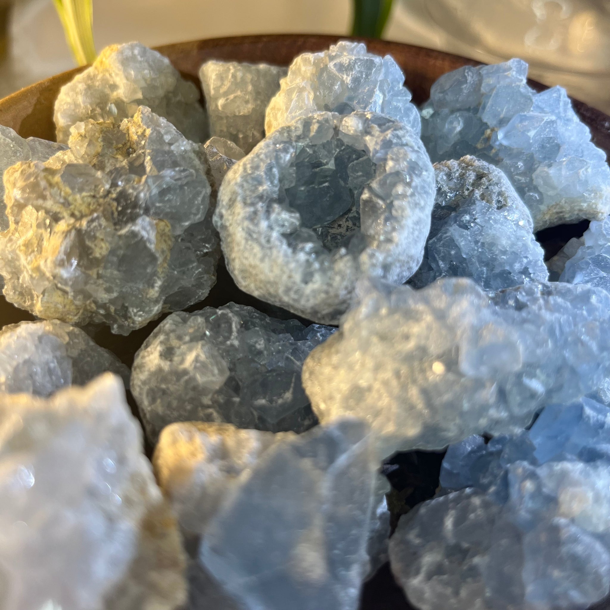 Celestite Mini Clusters - Spiritual Guidance & Mental Clarity