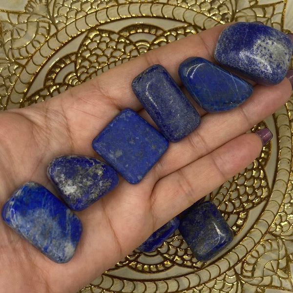 Lapis Lazuli Tumblestones - Spiritual Elevation & Wisdom BD Crystals