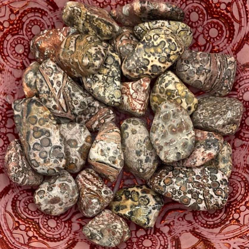 Leopard Skin Jasper Tumblestones - Success & Prosperity BD Crystals