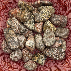 Leopard Skin Jasper Tumblestones - Success & Prosperity BD Crystals