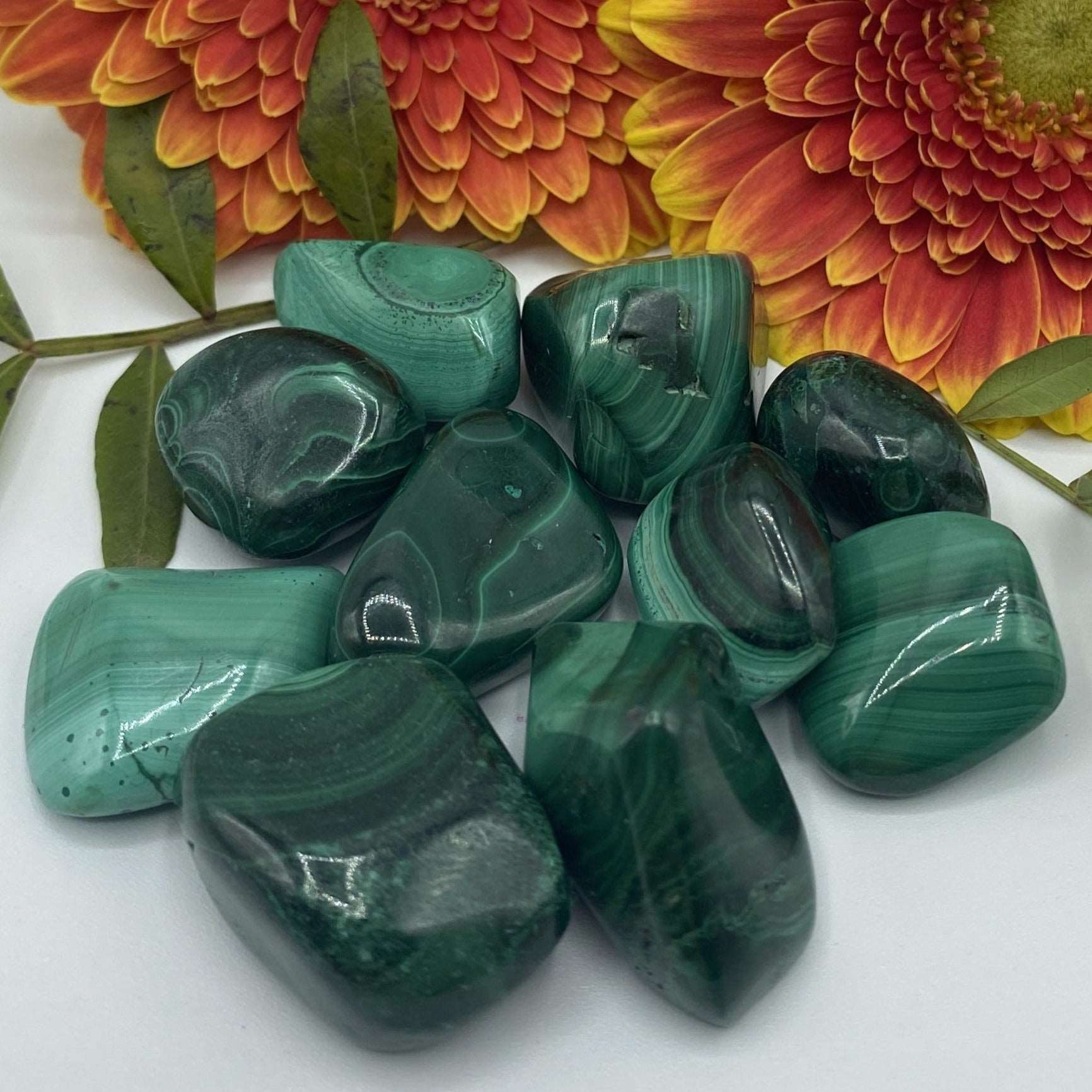 Malachite Tumblestones - Balance & Vitality BD Crystals