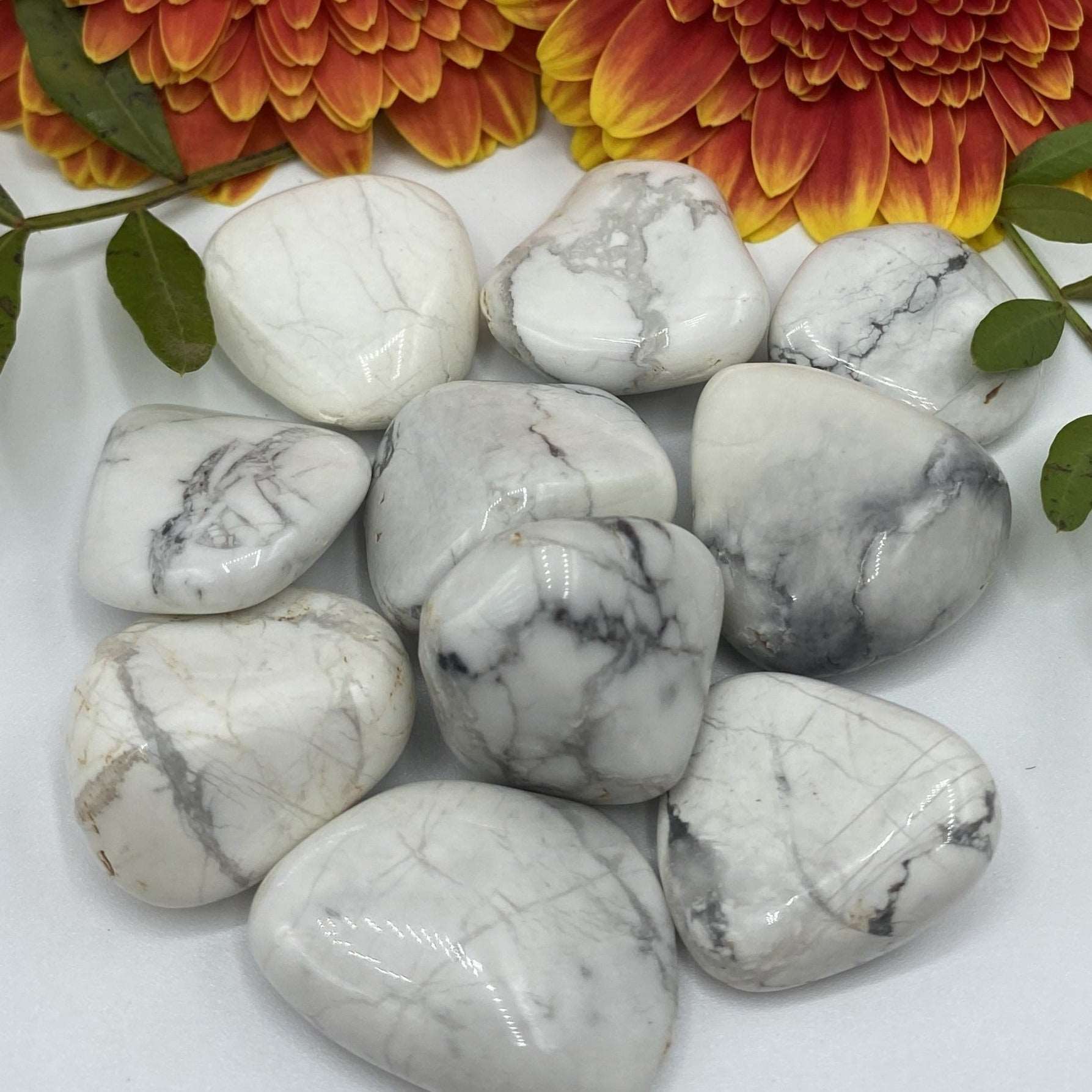 White Howlite Tumblestones - Peace & Harmony BD Crystals