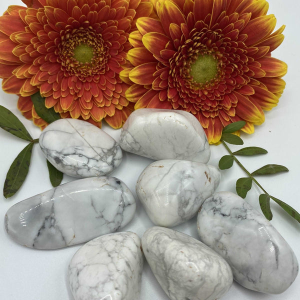 White Howlite Tumblestones - Peace & Harmony BD Crystals