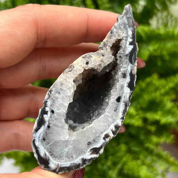 Crystal Oco Agate Druzy Geode Halves