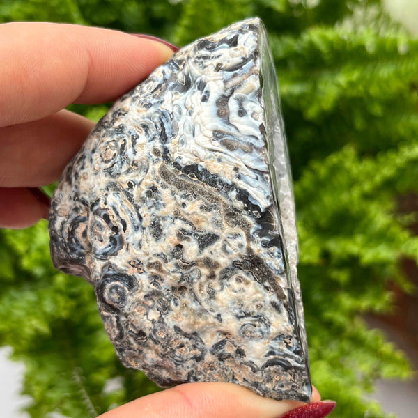 Crystal Oco Agate Druzy Geode Halves