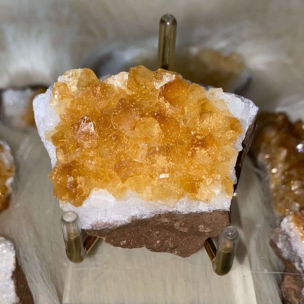 Citrine Druse Clusters - Abundance & Success