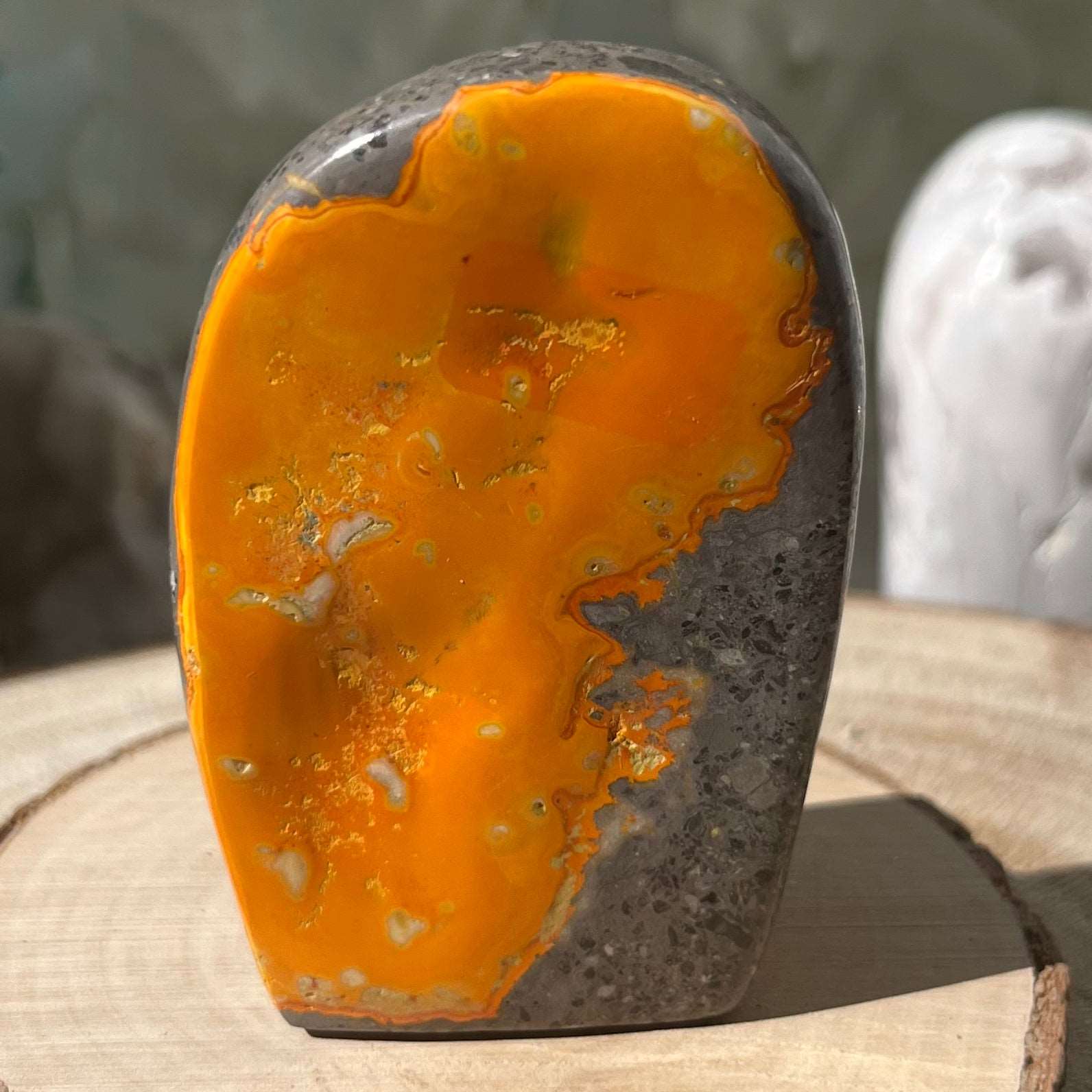 Bumblebee Jasper Freeform