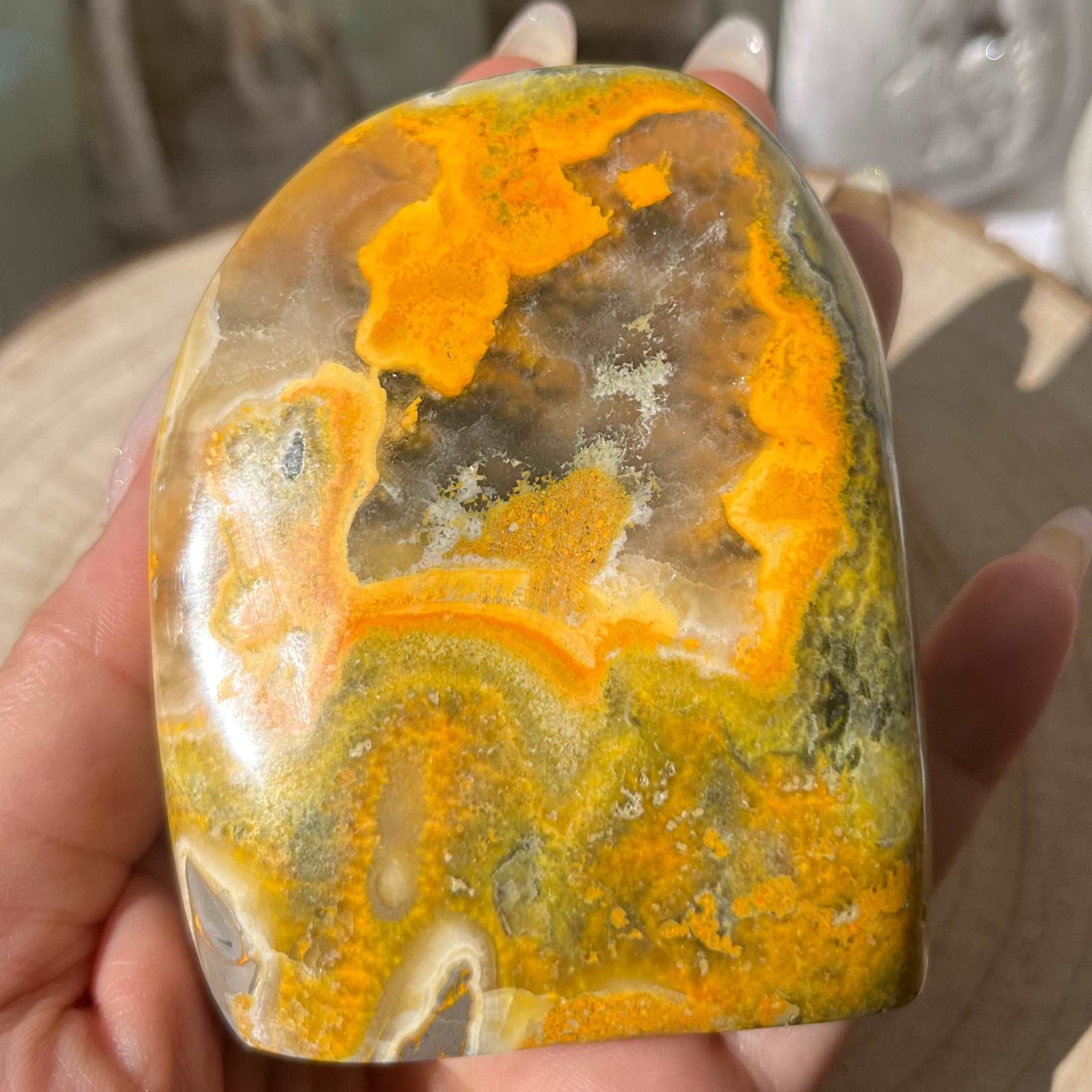 Bumblebee Jasper Freeform