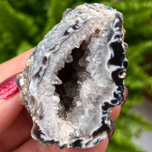 Crystal Oco Agate Druzy Geode Halves