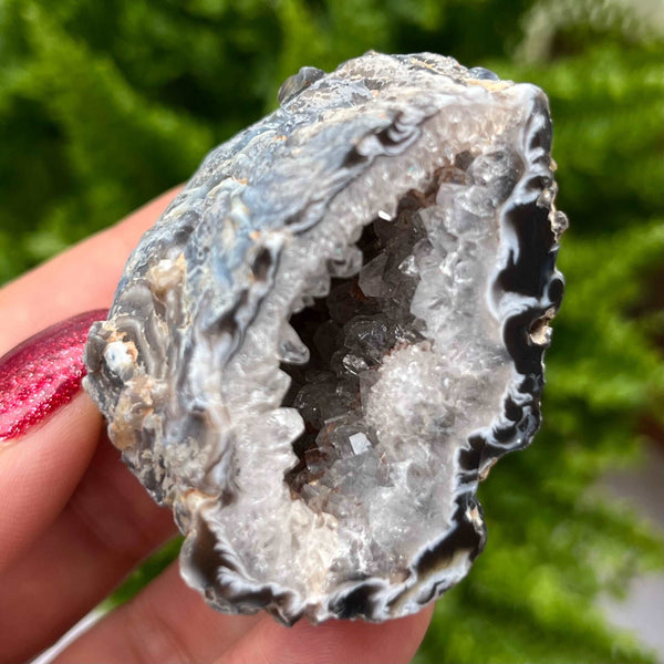 Crystal Oco Agate Druzy Geode Halves