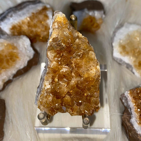 Citrine Druse Clusters - Abundance & Success