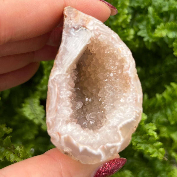 Crystal Oco Agate Druzy Geode Halves