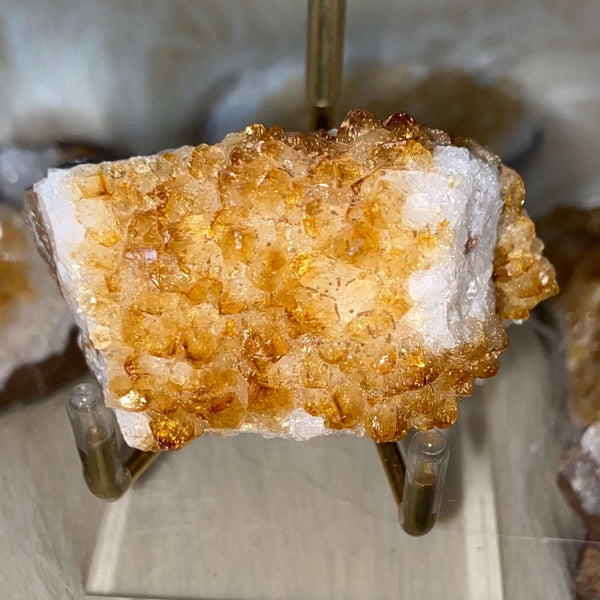 Citrine Druse Clusters - Abundance & Success