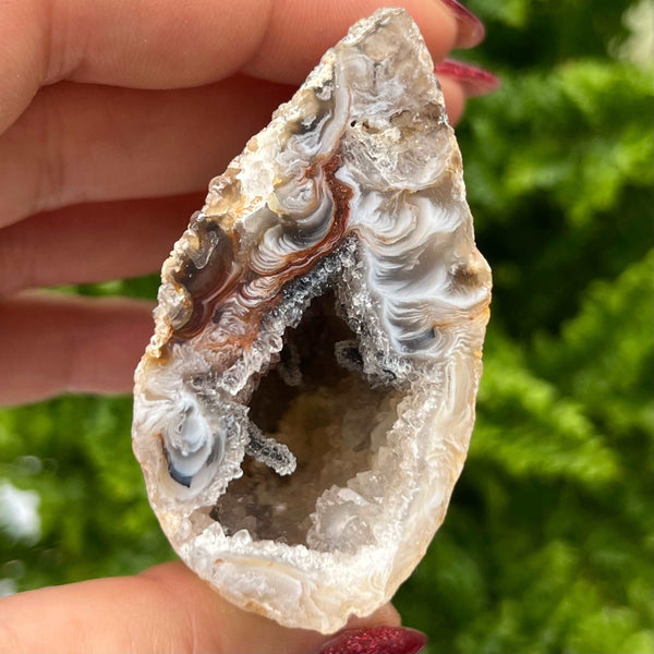 Crystal Oco Agate Druzy Geode Halves