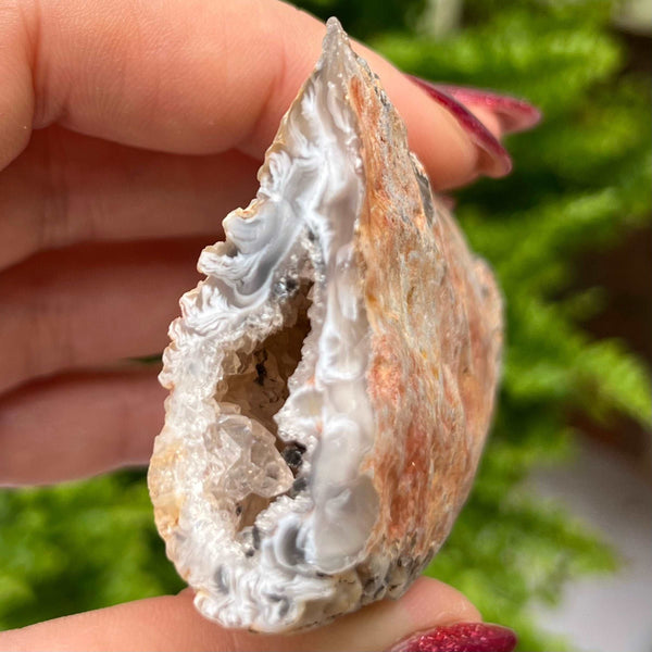 Crystal Oco Agate Druzy Geode Halves