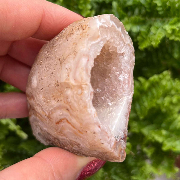 Crystal Oco Agate Druzy Geode Halves