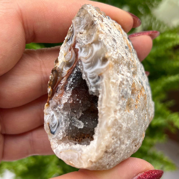 Crystal Oco Agate Druzy Geode Halves