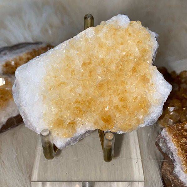 Citrine Druse Clusters - Abundance & Success