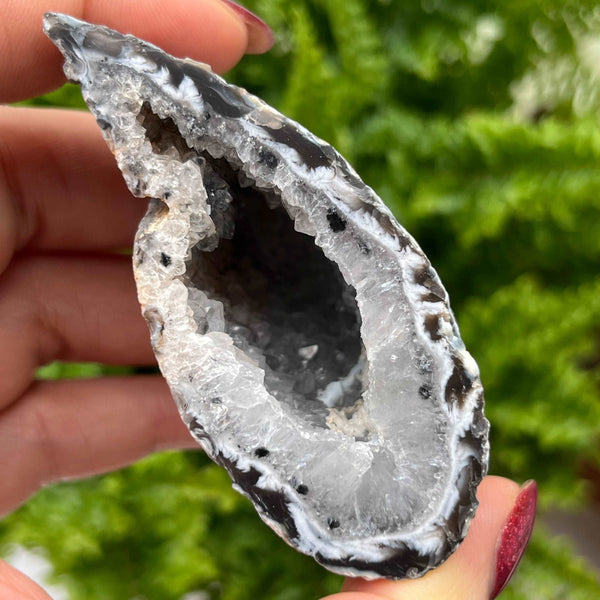 Crystal Oco Agate Druzy Geode Halves