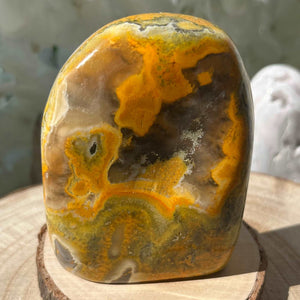 Bumblebee Jasper Freeform