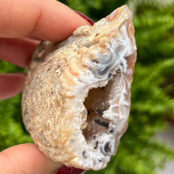 Crystal Oco Agate Druzy Geode Halves