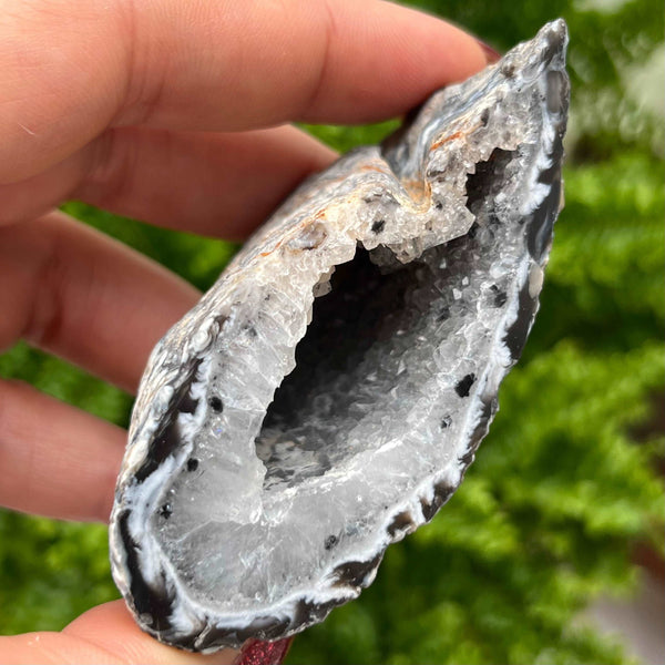 Crystal Oco Agate Druzy Geode Halves