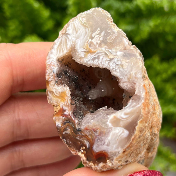 Crystal Oco Agate Druzy Geode Halves