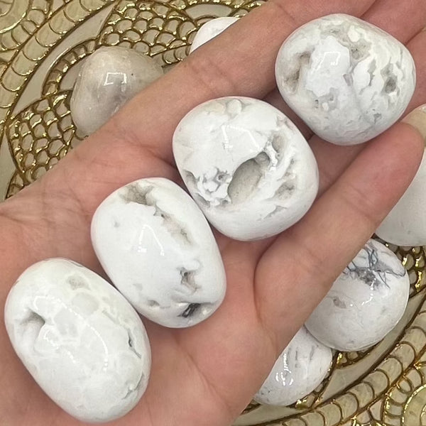 Snow Agate Tumblestones