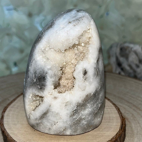 Zebra Agate Druzy Freeform