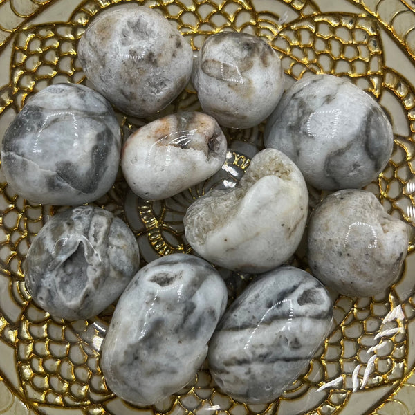 Zebra Agate Tumblestones - Balance & Physical Energy