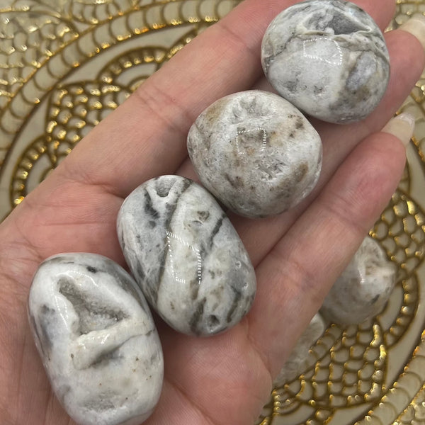 Zebra Agate Tumblestones - Balance & Physical Energy