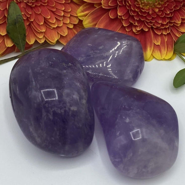 Amethyst Tumblestones - Spirituality & Transmutation BD Crystals