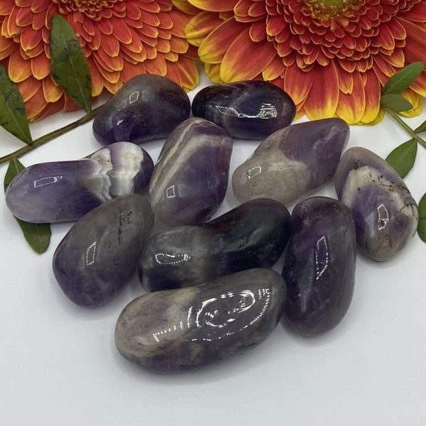 Amethyst Tumblestones - Spirituality & Transmutation BD Crystals