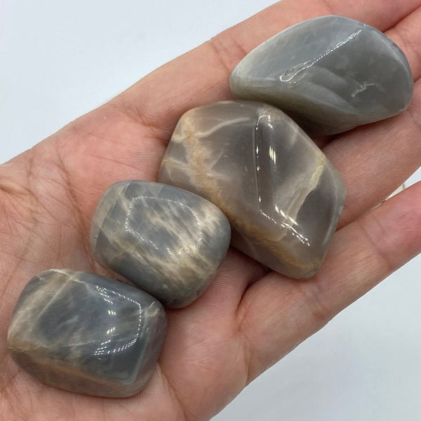 Black Moonstone Tumblestones - New Beginnings & Protection BD Crystals