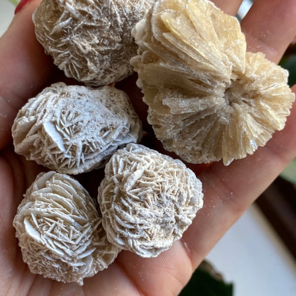 Desert Rose -  Perseverance & Mental Clarity BD Crystals