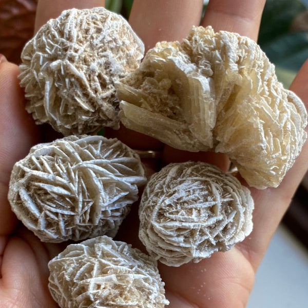 Desert Rose -  Perseverance & Mental Clarity BD Crystals