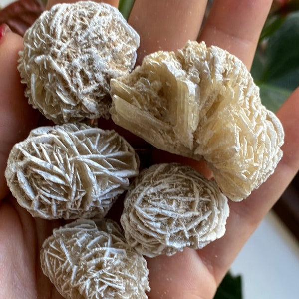 Desert Rose -  Perseverance & Mental Clarity BD Crystals