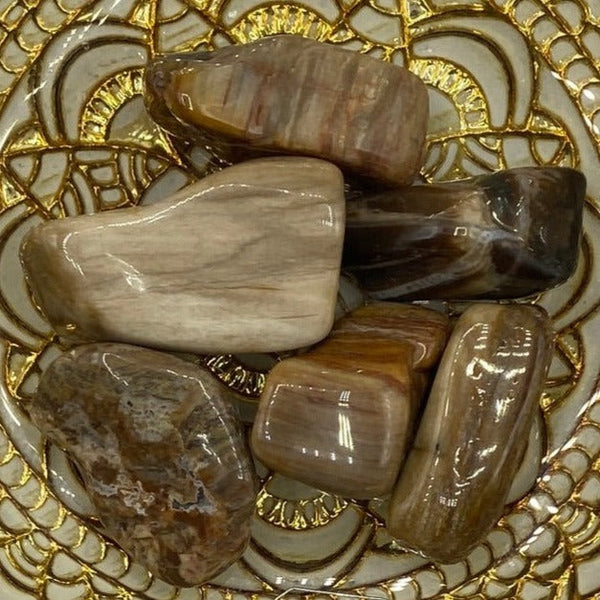 Fossilised Wood Tumblestones BD Crystals