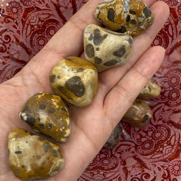 Leopard Skin Jasper Tumblestones - Success & Prosperity BD Crystals