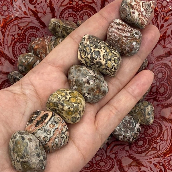 Leopard Skin Jasper Tumblestones - Success & Prosperity BD Crystals