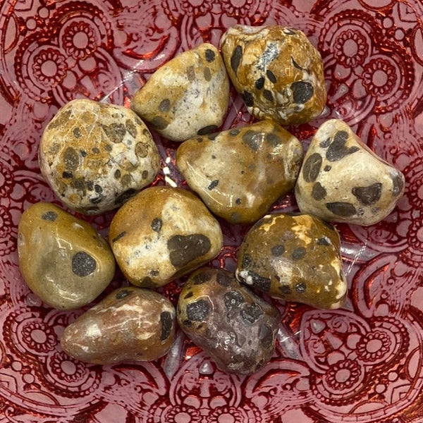 Leopard Skin Jasper Tumblestones - Success & Prosperity BD Crystals